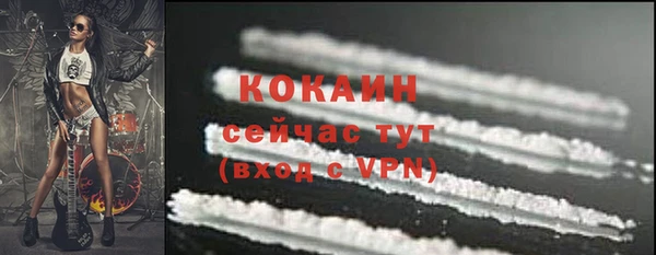 крисы Ачинск