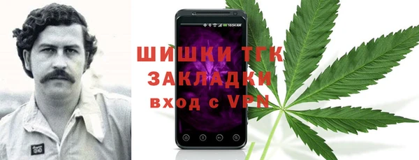 крисы Ачинск
