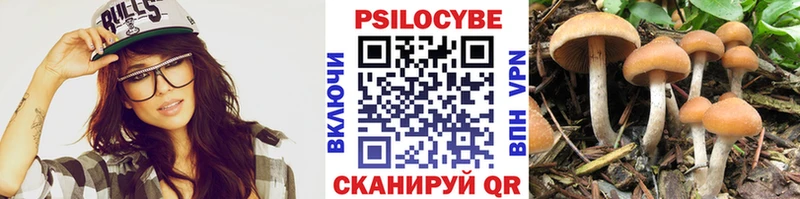 Галлюциногенные грибы прущие грибы  KRAKEN tor  Сенгилей  сколько стоит 